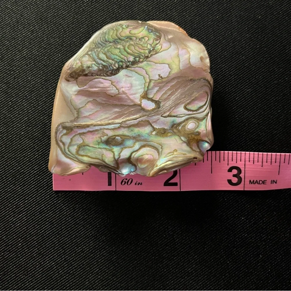 Iridescent, Vintage Abalone Shell Brooch